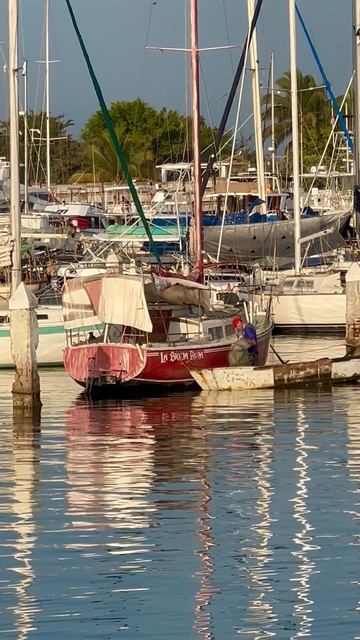 Утро в марине Nuevo Vallarta — спокойная вода, мягкий свет и тихий ритм лодок