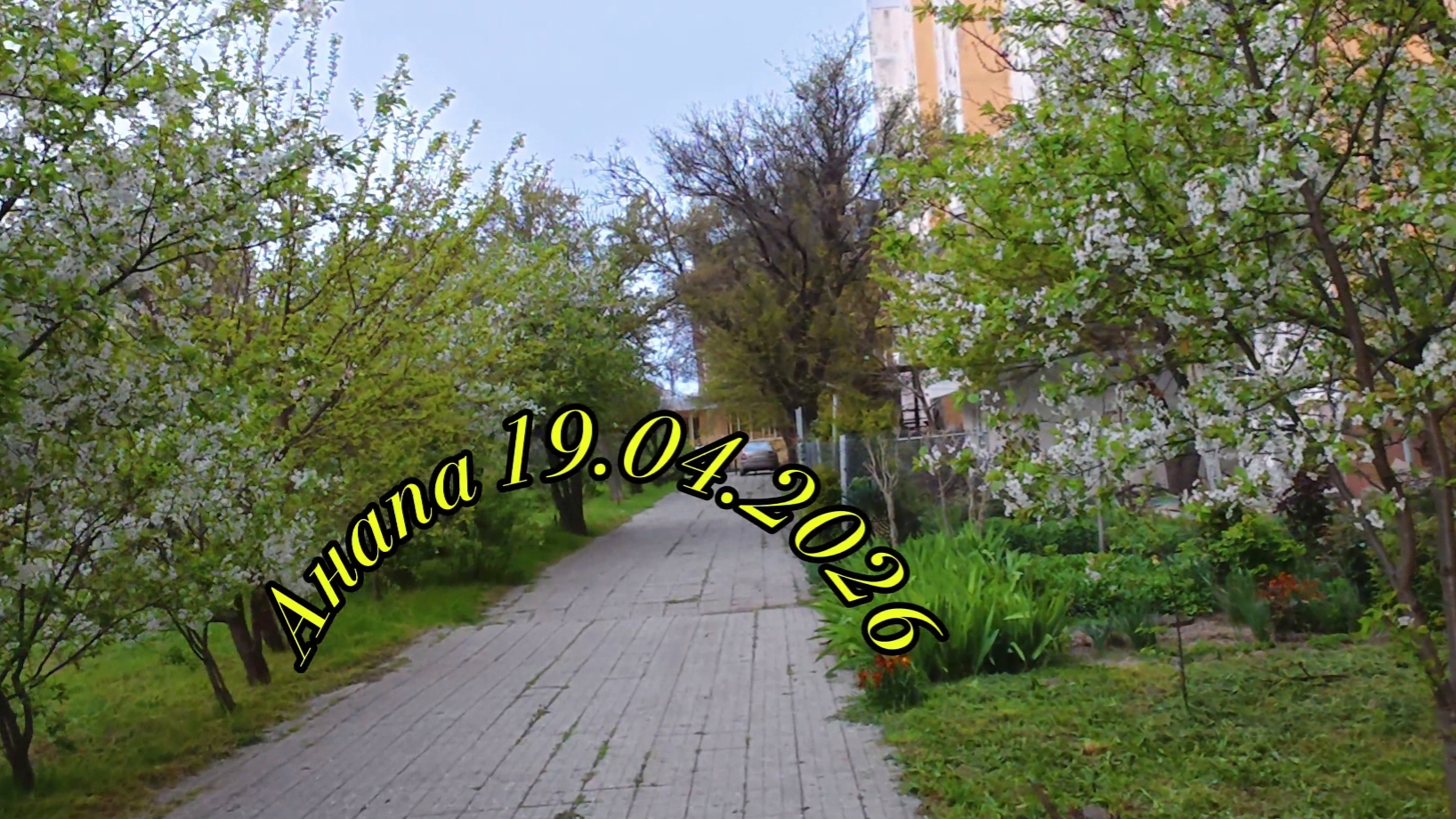 Анапа 19.04.2026