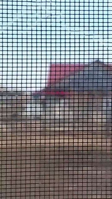 Альбом лето испалнятель евгения боярова