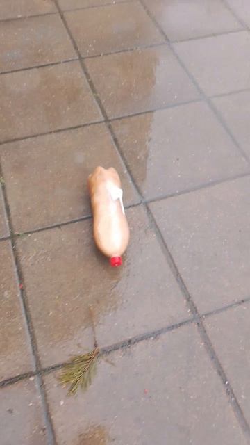 уничтожаем кока-колу