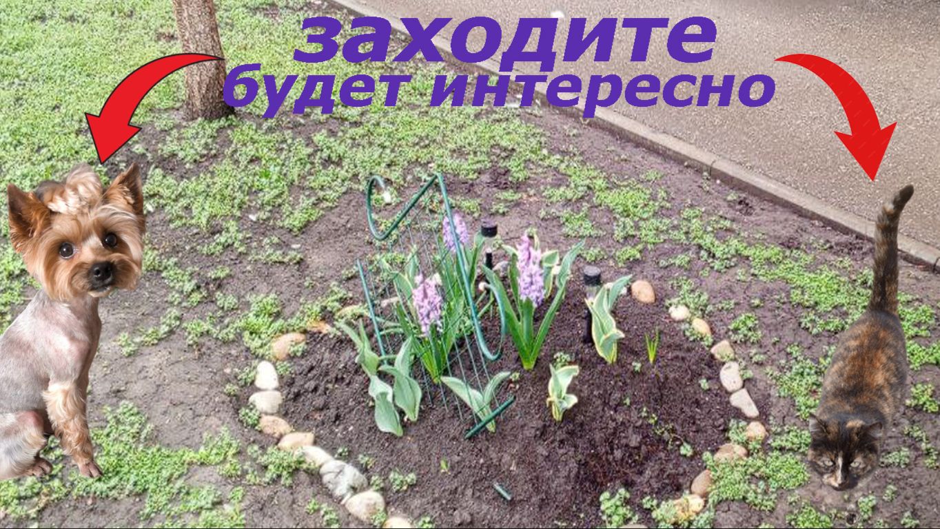 какая красота