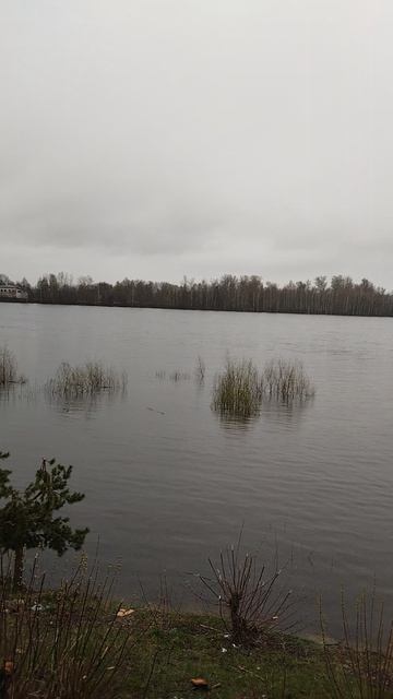 Баржа на р.Ока.