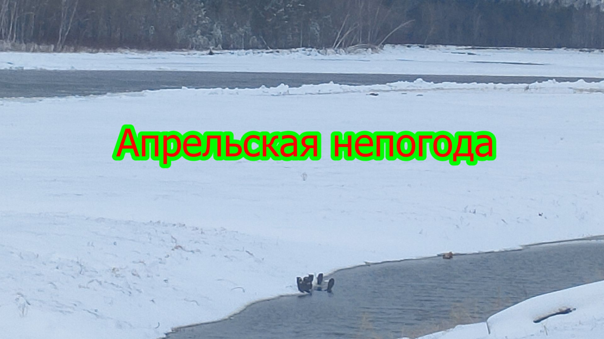 Закружило-запуржило...