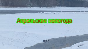 Закружило-запуржило...