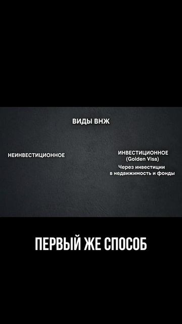 Самое подробное видео о ВНЖ