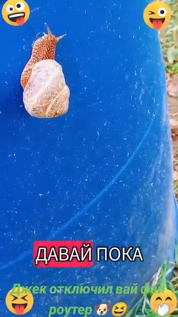 Дек отключил вай фай роутер