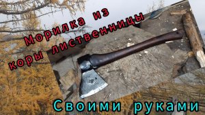 Морилка из коры лиственницы своими руками