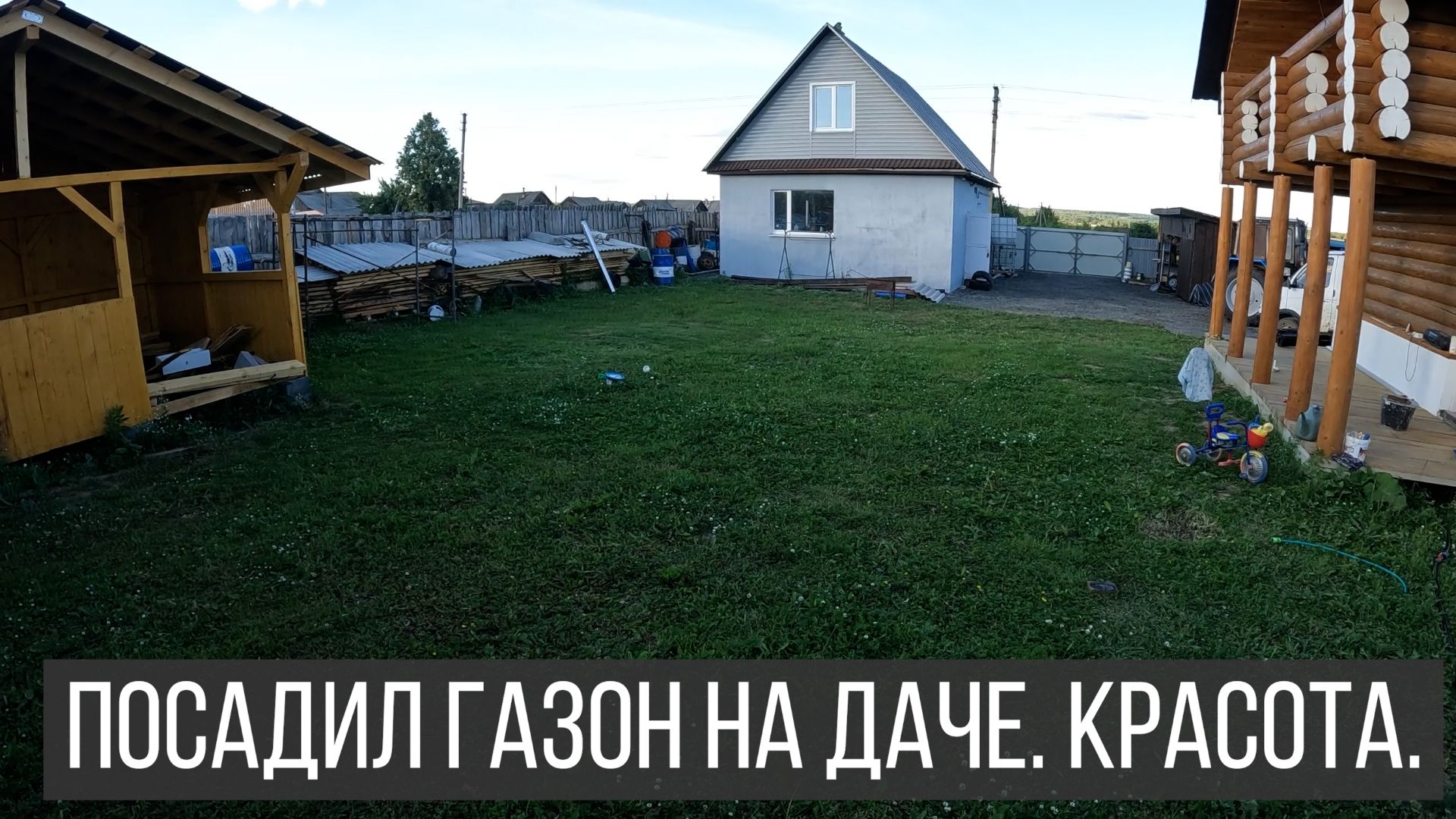 Засеял двор газонной травой. Газон почти как на футбольном поле.