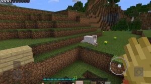 SVID_20260419_141910_1.mp4