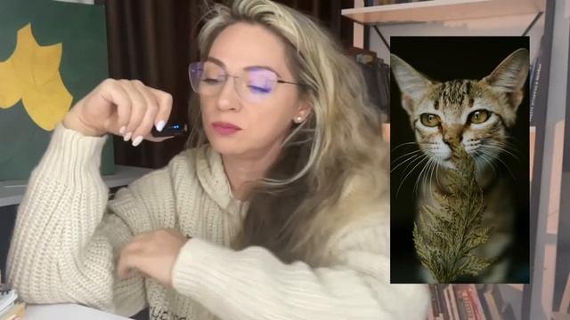 Что означает кошка во сне: образ внутренней свободы. Полина Фиссюра - аналитический психолог