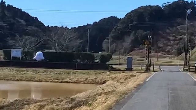 PUSH's DRIVE!!  Musical Instrument  Puppet  PushBaby Official