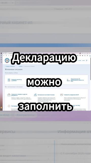 Декларацию ИП можно заполнить сразу в ЛК ФНС