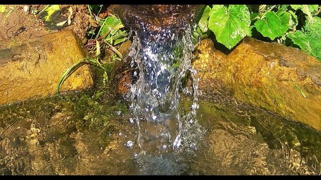 П. Коэльо. О языке любви. Алхимик. Фрагмент 12 из 23