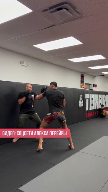 «Режим зверя включен». Перейра чуть не убил старика Тейшейру на тренировке