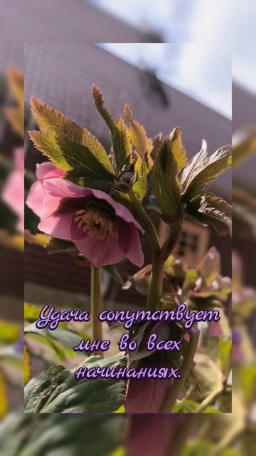 Магия слов для внутренней силы