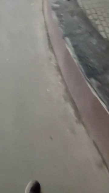 Логопедические зонды