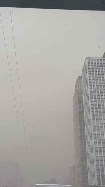 Снег и мороз до −3°C уже сегодня ночью накроют Москву — синоптики