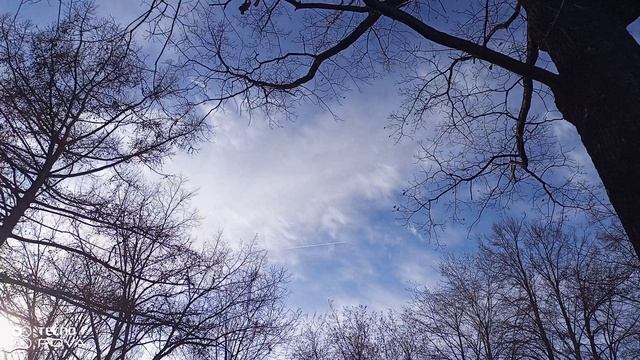 ПРОГУЛКА ПО ПАРКУ 🌳🌲 ИДЕМ И ВСПОМИНАЕТСЯ 003 часть 19-04-2026