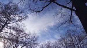 ПРОГУЛКА ПО ПАРКУ 🌳🌲 ИДЕМ И ВСПОМИНАЕТСЯ 003 часть 19-04-2026