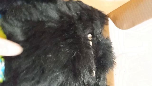 у меня появился в Макс канал ^•^💔💔заходите подписывайтесь на него я вас там жду