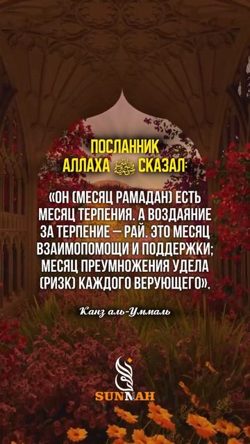 #хадис #hadis