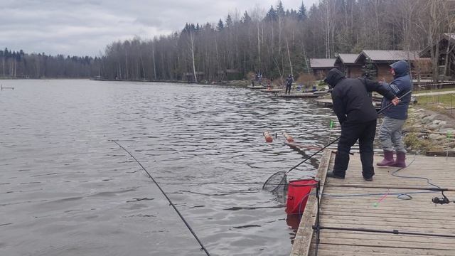 поимка форели