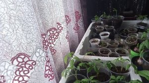 19.04.26г.Весна!!! Праздники!