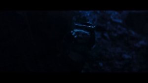 Мандалорец и Грогу — Финальный трейлер (2026)