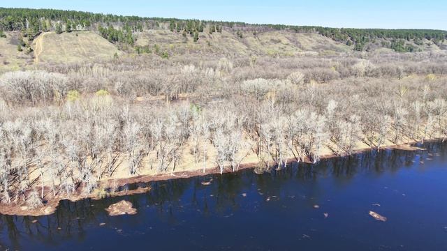 Паводок на Волге. Подтопило даже фестивальную поляну им. Грушина - к ней не проехать!
