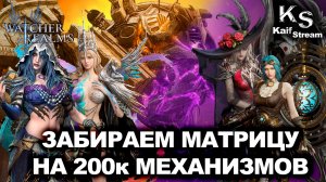 РАЗНОСИМ ФИЗ И МАГ ФАЗУ МАТРИЦЫ НА 200К ОБЩЕГО УРОНА! | WATCHER OF REALMS | WOR | #watcherofrealms