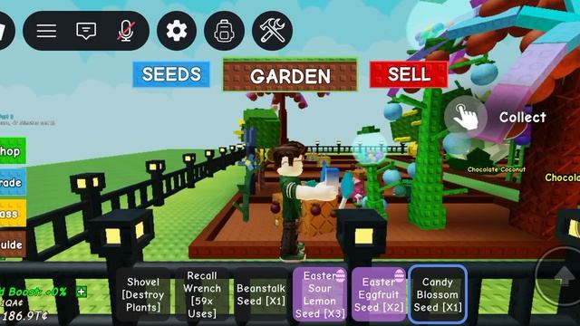 получил кенди блосом