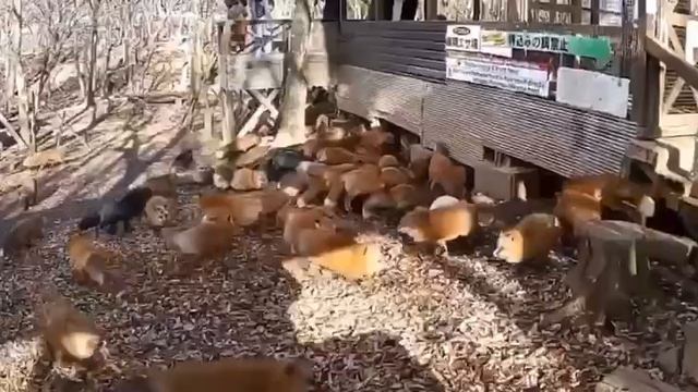 Путешествуй и зарабатывай вместе с нами 