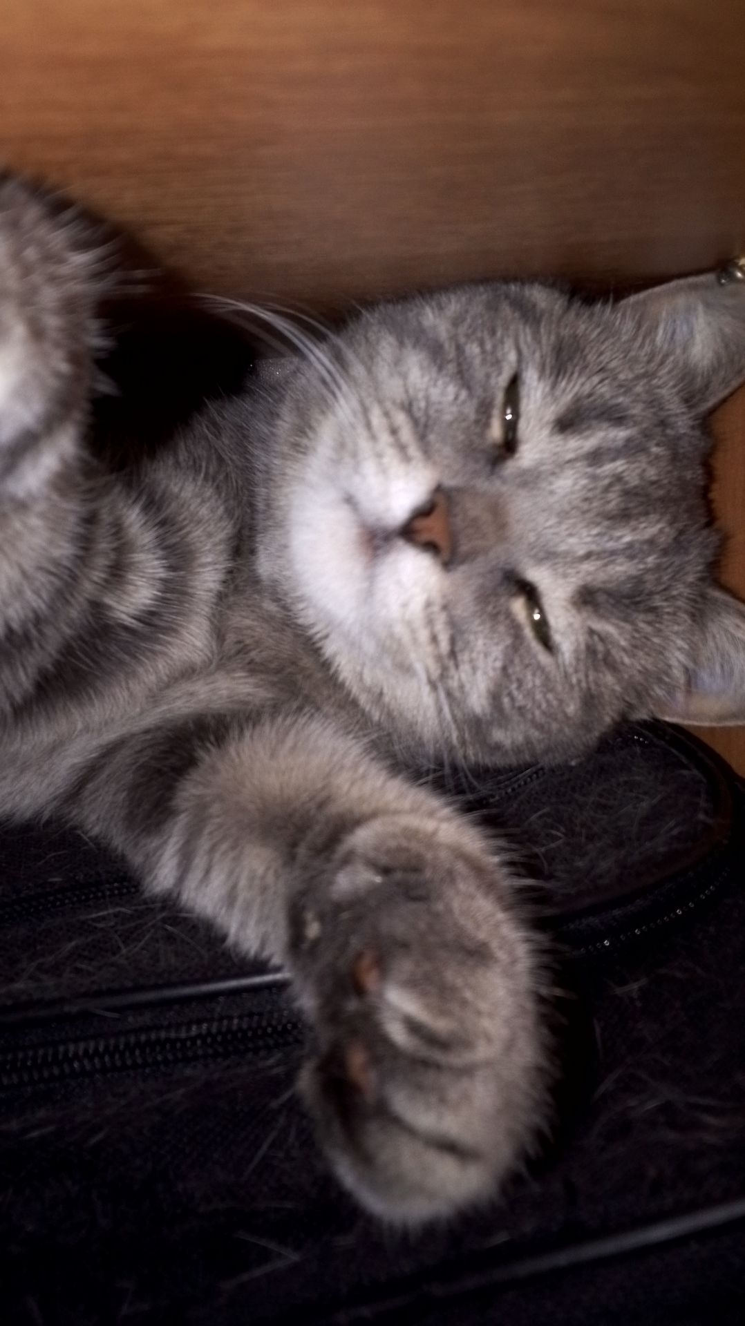 👀💗Снимаю для вас 📸😊