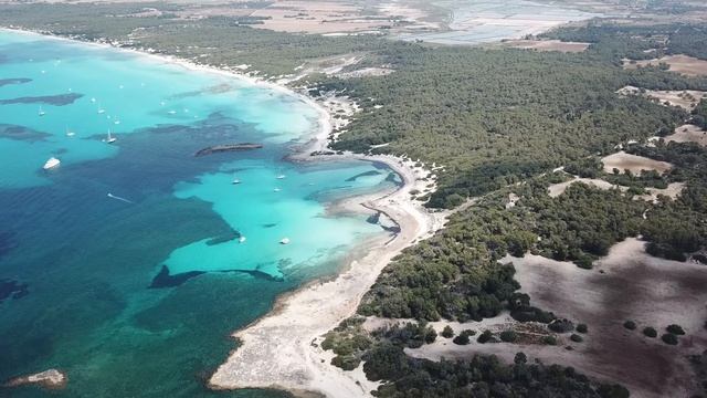 Ibiza Sunset Beach Club 🌅 Deep House ⧸ Nu Disco Mix (1 Hour)  ｜ Muzlub Chill