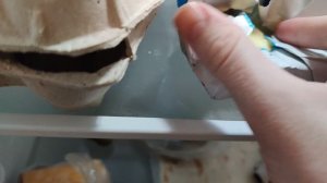 4 месяца не открывал холодильник. Что стало с продуктами?