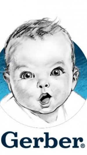 Камеры кошки 2