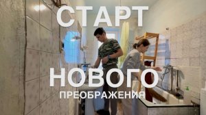 НАЧИНАЕМ РЕМОНТ БЕЗ РЕМОНТА. Цыплята в доме. Коля строит клетки.