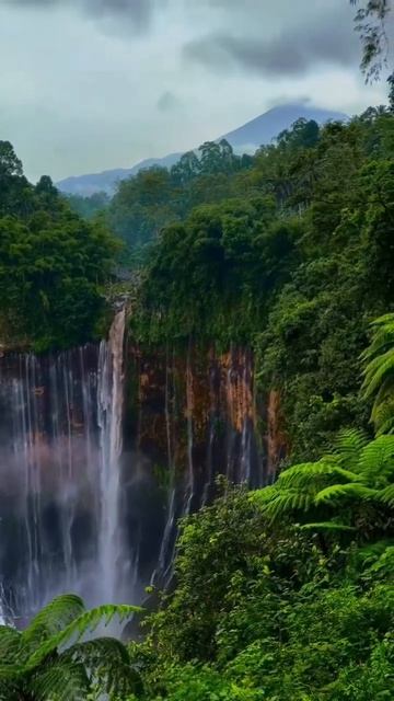 Тумпак Севу