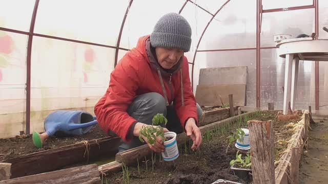 Дача. Середина апреля 2026 г.