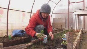 Дача. Середина апреля 2026 г.