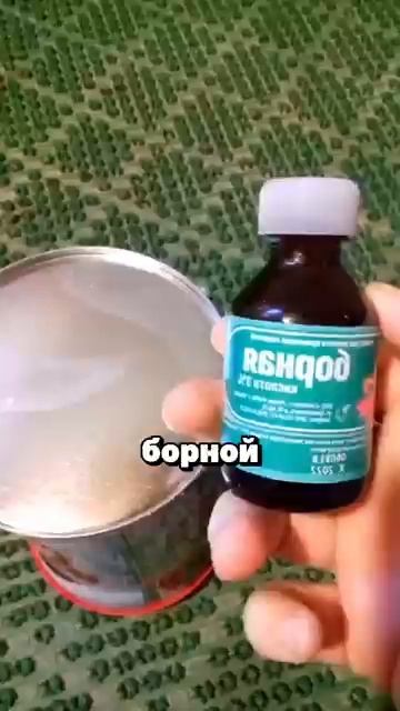 После этого урожай кабачков не остановить огород дача сад урожай кабачки !!!