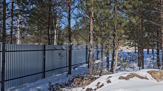 12161501Сосновый Бор