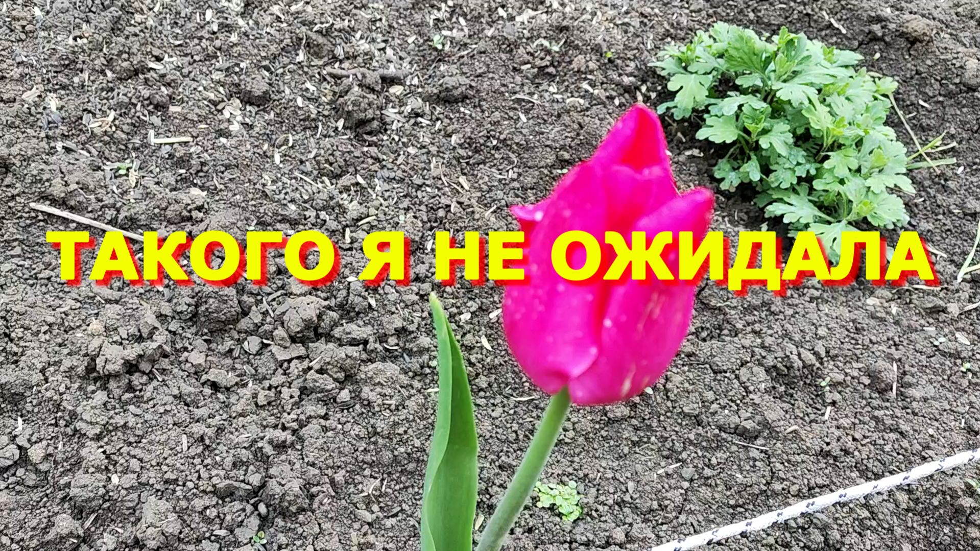 51. Переезд на Юг. Ейск.