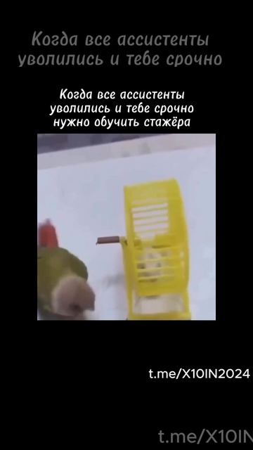 Вот так выглядит “срочное обучение” в бизнесе