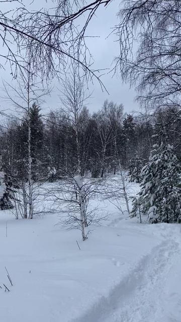 Пару слов о природе.