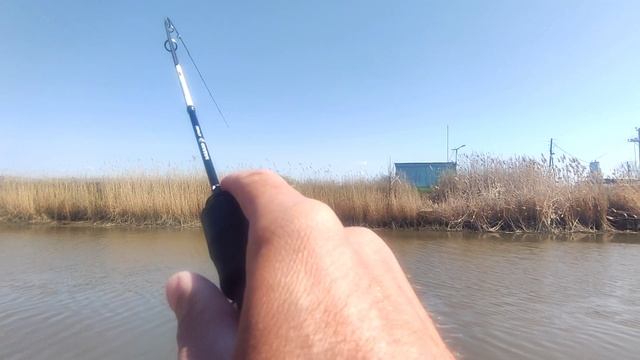 Крупная рыба на МОРМО. Продолжение.