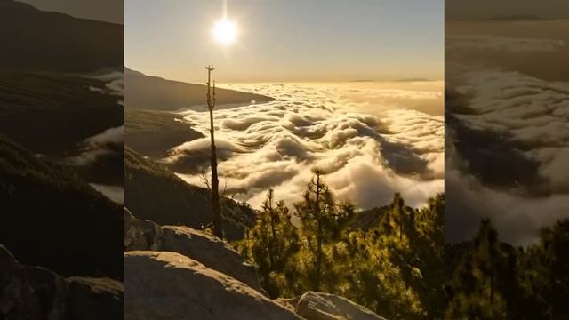 Море облаков обычно образуется в долинах или над морем в условиях инверсии температуры