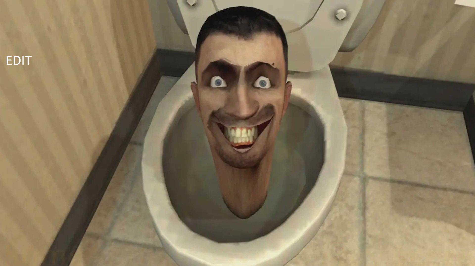 Skibidi Toilet Edit