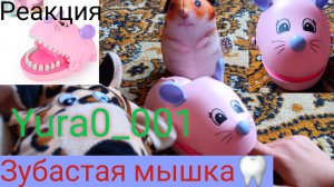 Зубастая МЫШКА🐭🦷😬 Челлендж на реакцию и удачу!!!Как бы палец не откусила!🔥🫣 С сестрой🥰💯 Yura!