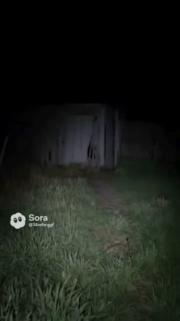 Странная тварь в сарае